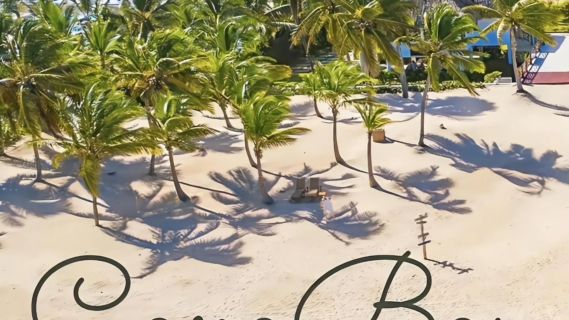 Penthouse Chic En Cana Rock Condos #23 Punta Cana Apartment